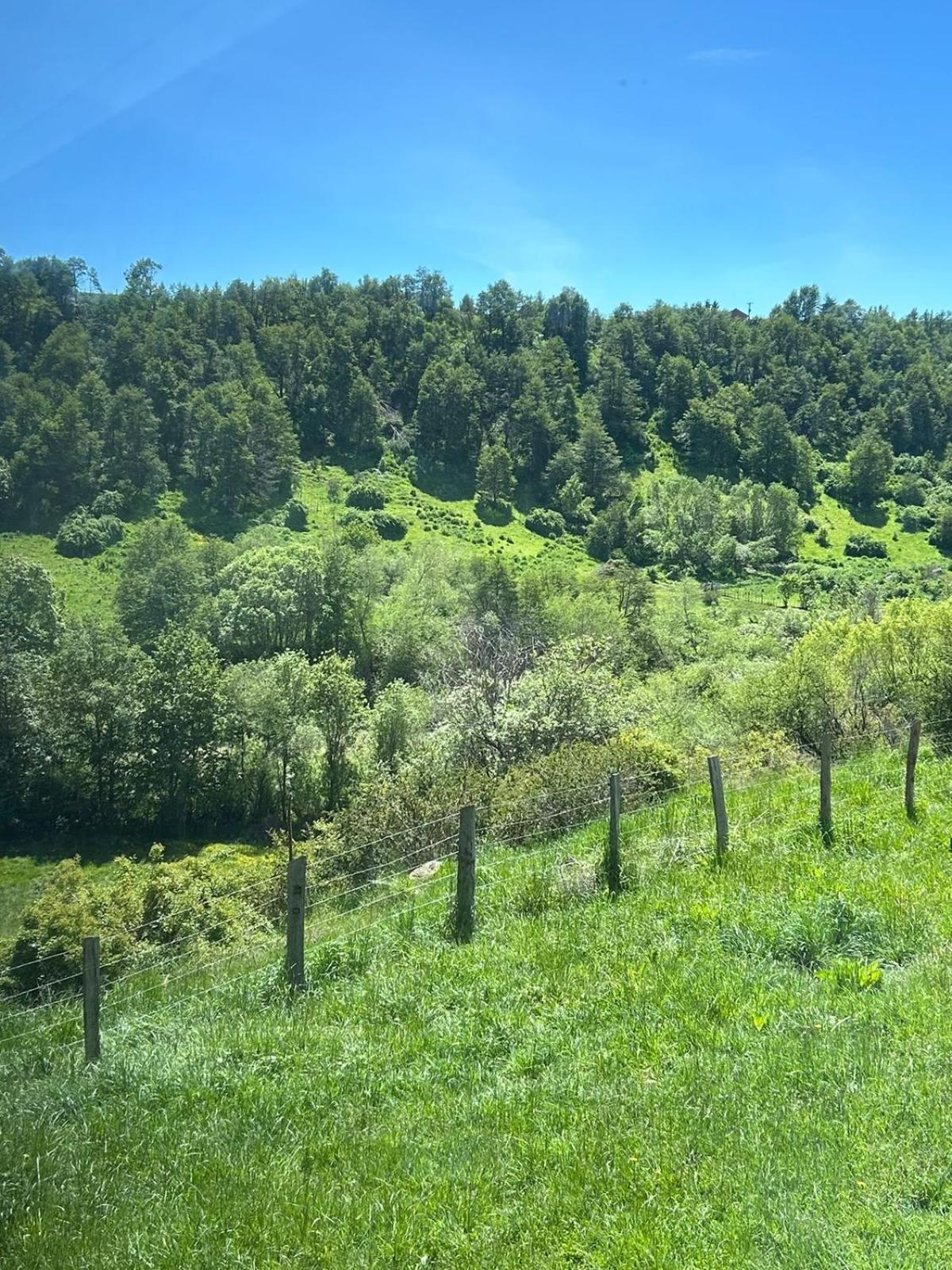 Austral Patagonian Lodge Coyhaique Εξωτερικό φωτογραφία