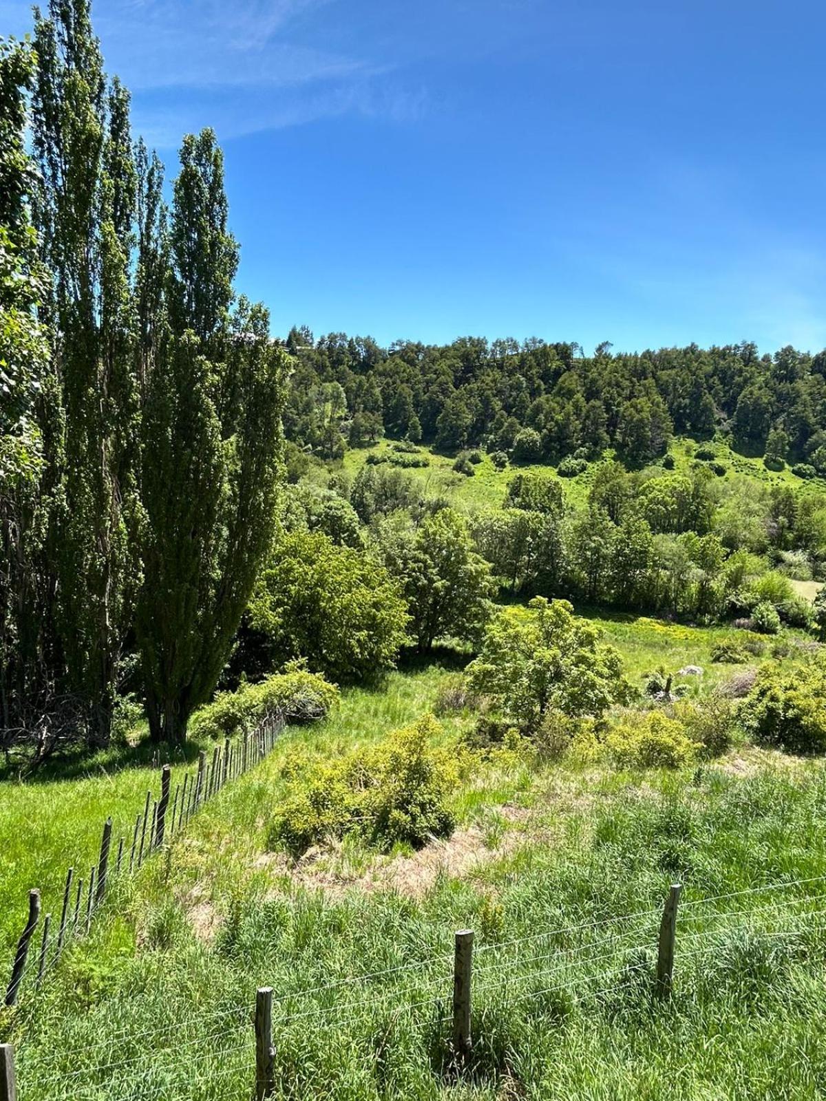 Austral Patagonian Lodge Coyhaique Εξωτερικό φωτογραφία